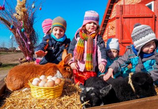 &copy; Freilichtmuseum Klockenhagen