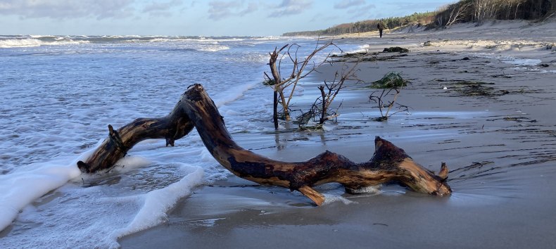 &copy; Nationalparkamt Vorpommern