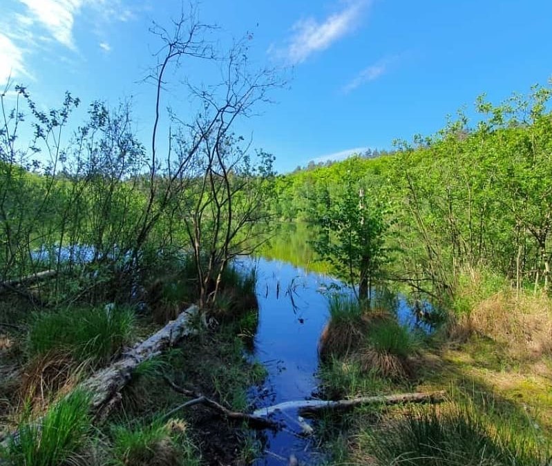 Wienpietsch, © Waren (Müritz)-Information