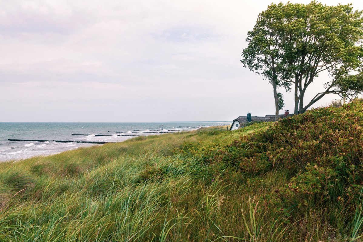 Czysta idylla na wydmach Ahrenshoop // &copy; MV-T/S&uuml;&szlig;