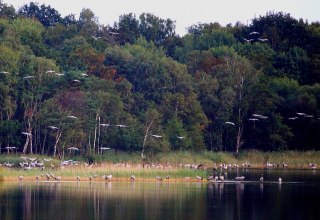 &copy; Reinhard Sobiech