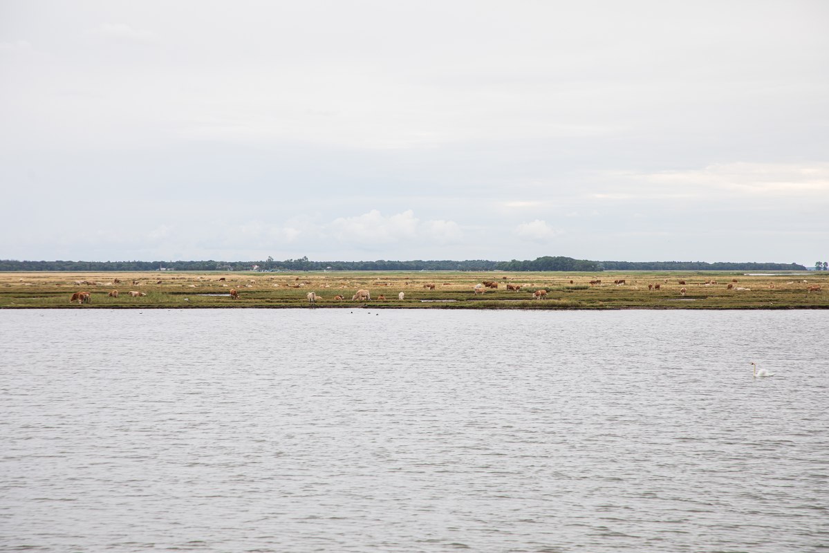 © Weiße Flotte GmbH © Weiße Flotte GmbH