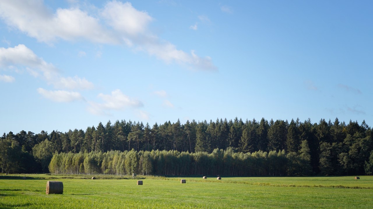 &copy; Landesforst MV
