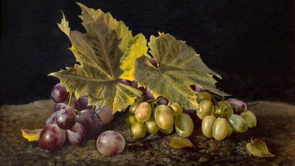 Grapes, &copy; Christine Becker