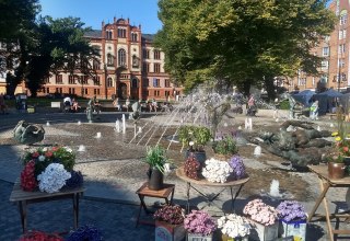 &copy; Cityagentur Schumann