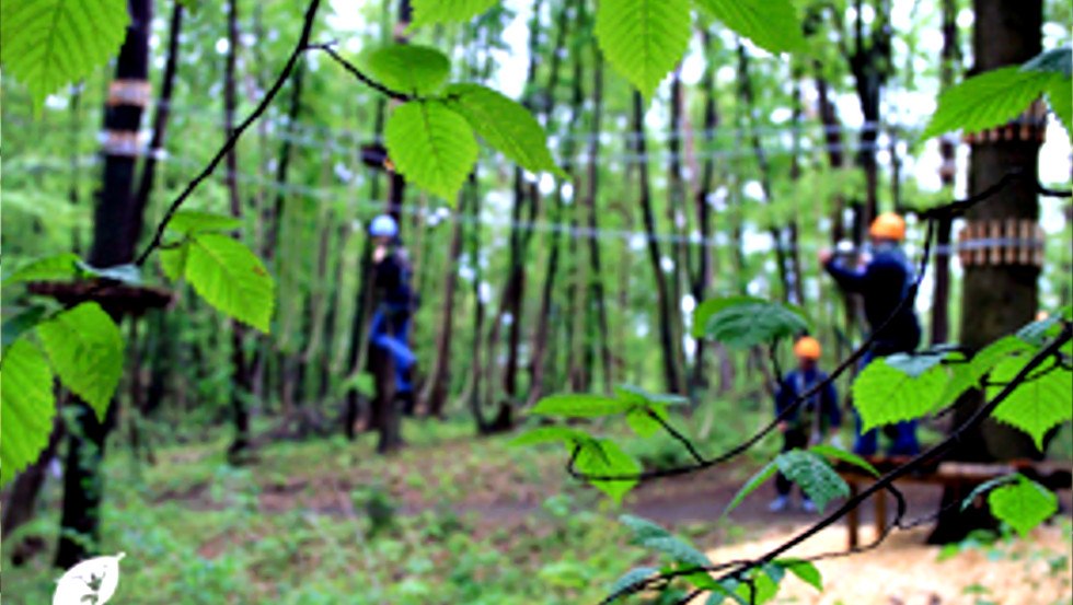 © Schweriner Kletterwald © Schweriner Kletterwald
