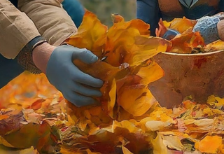 Herbstputz im Zoo Schwerin // © Zoo Schwerin Herbstputz im Zoo Schwerin // © Zoo Schwerin