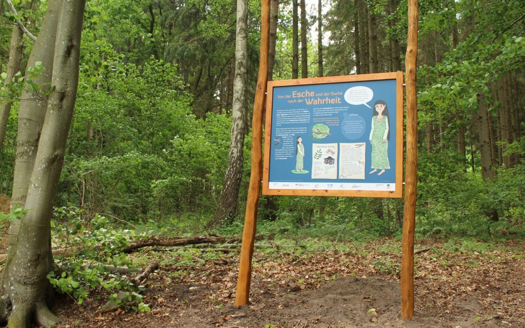 Een station op het natuurpad introduceert de essensoort, © Liv E. Ipsen