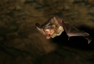 &copy; Nationalpark-Zentrum K&Ouml;NIGSSTUHL