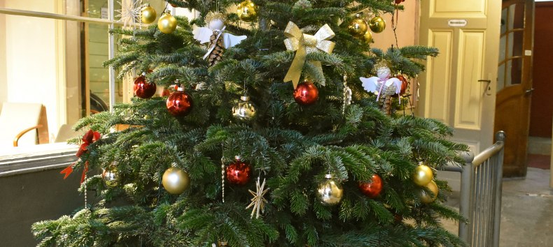 © STRALSUND MUSEUM © STRALSUND MUSEUM