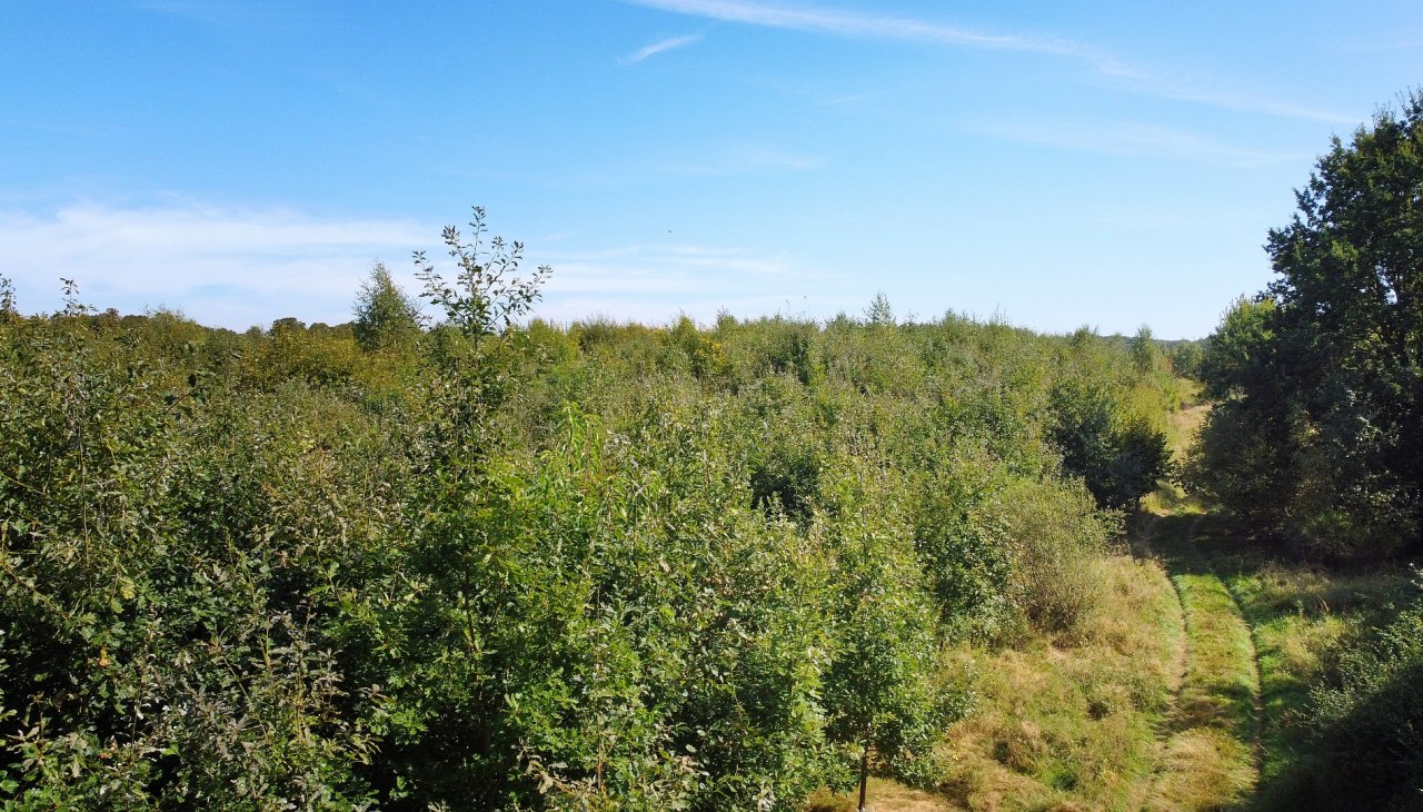 Klimatyczny leśny rezerwat biosfery Schaalsee, © Landesforst MV