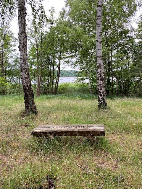 Bild 2, © Touristinformationen Wesenberg & Mirow, Mecklenburgische Kleinseenplatte