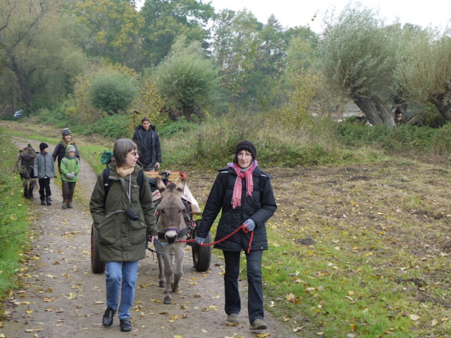 Onze dieren houden van wandelen, zelfs in de winter, © Gerhard Mersch