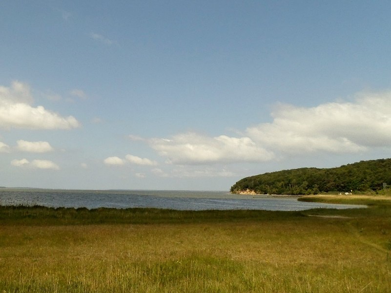 Widok na Wielką Zatokę Jasmundzką, © H. Seelenbinder