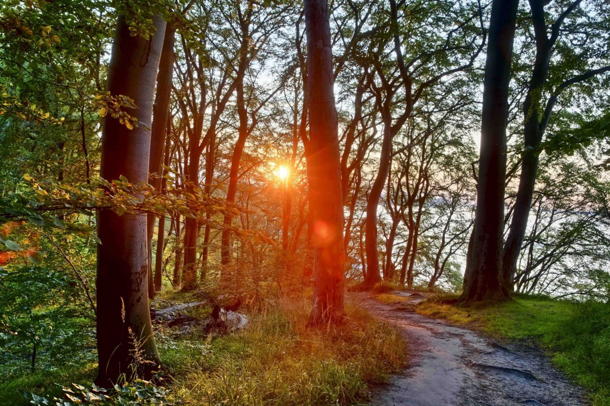 Literaire wandeling (c) Kurverwaltung Goehren Martin Stoever_07-2019_P5I1472_71_70_69_68_HDR-projecten-2, &copy; Kurverwaltung Goehren / Martin Stoever