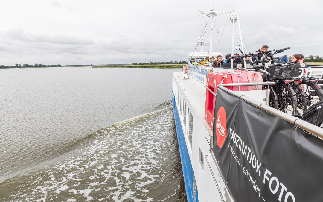 Reederei-Oswald-Swantevit-3G0A3305, © Weiße Flotte GmbH
