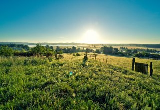 © Stefan Pocha © Stefan Pocha