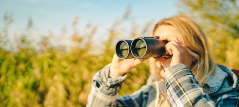 Birdwatching, nature, ornithology, © Südliche Boddenküste