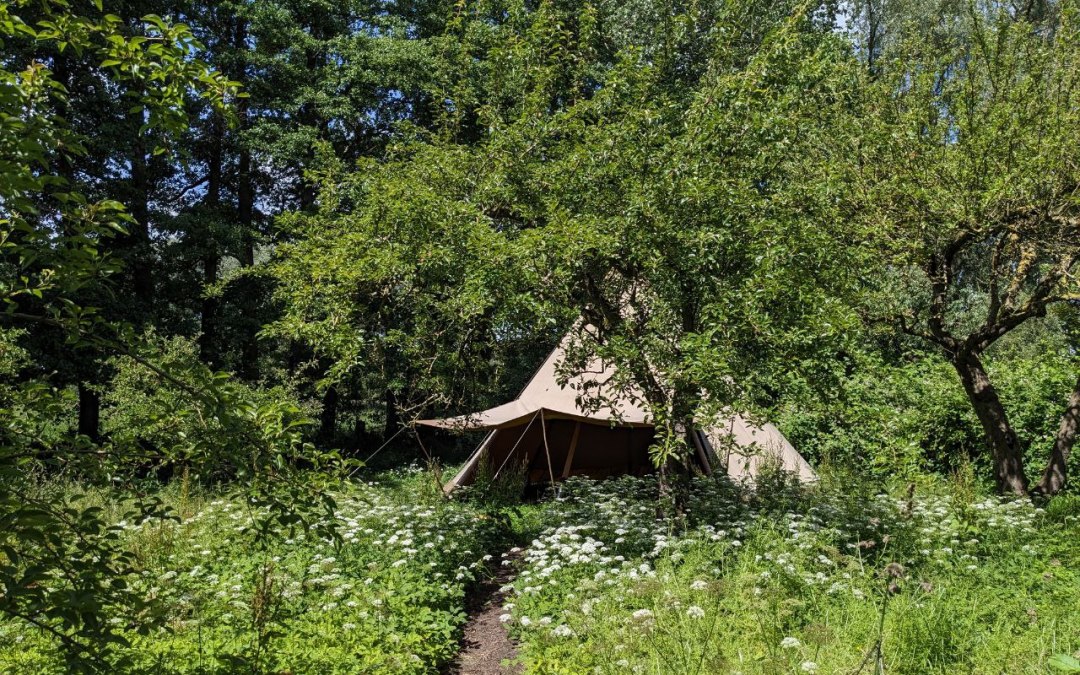 Feengarten 2025 groß, © privat, Bernd Monecke