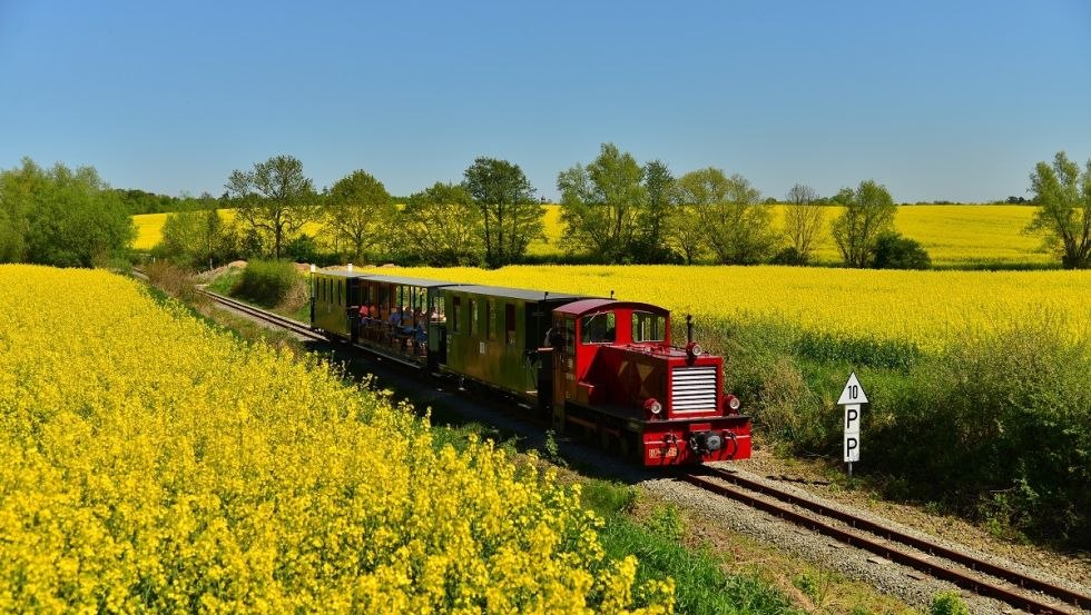 De Lütt coffee distiller between rape fields, © Stiftung Deutsche Kleinbahnen, B. Lotzow