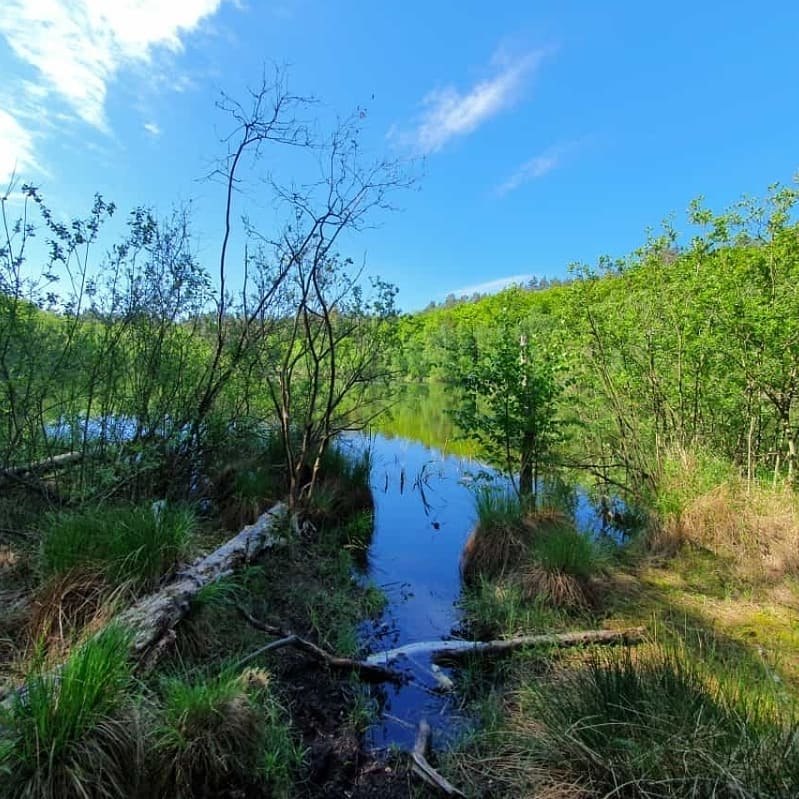 © Waren (Müritz)-Information © Waren (Müritz)-Information