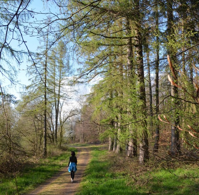 &copy; BluBonRelaXon@Pixabay