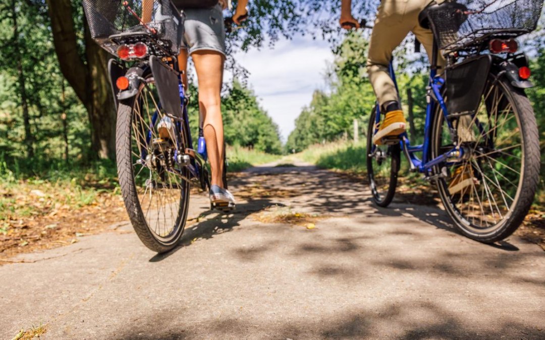 Bicycle tour through the forest of Rostocker Heide, &copy; TMV/Tiemann