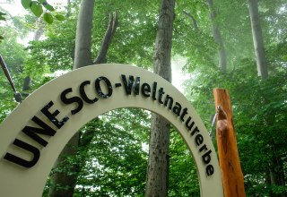 &copy; Nationalpark-Zentrum K&Ouml;NIGSSTUHL / Peter Lehmann