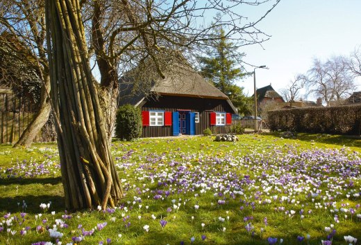 Zicht op een huis met een rieten dak in het resort Born a. Darß., © TMV/Grundner
