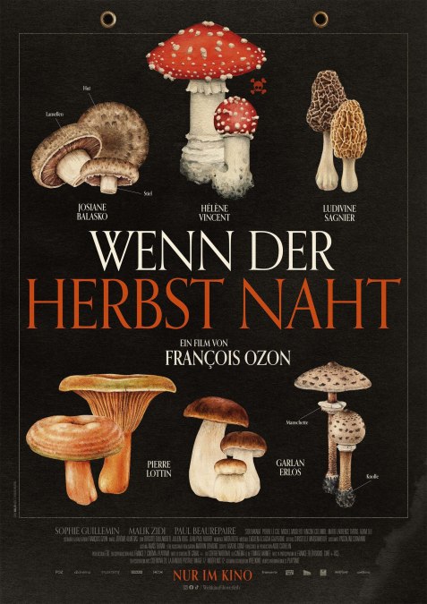 © WennderHerbstnaht