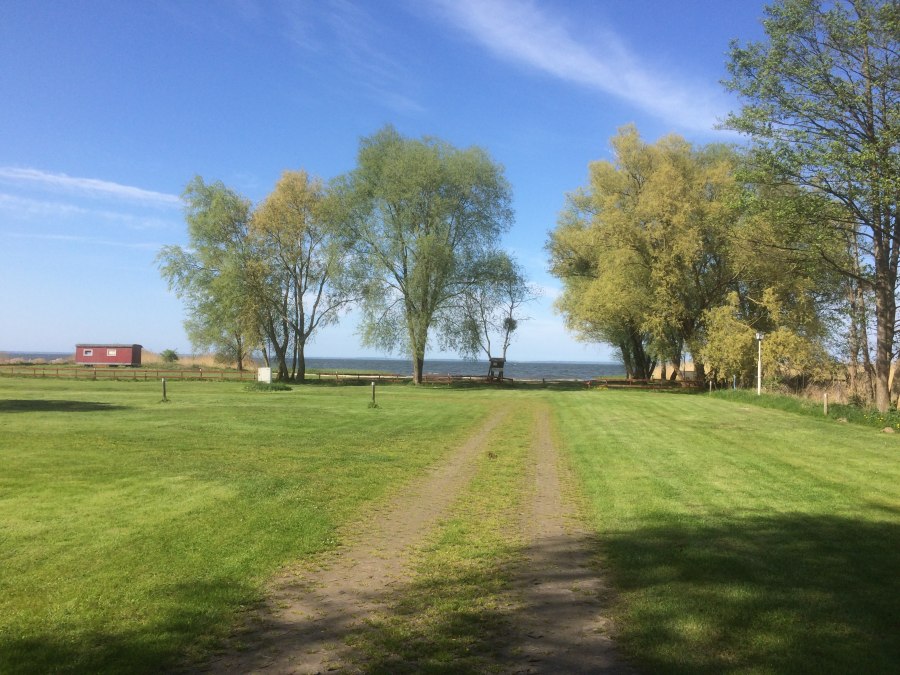 Park wakacyjny Ueckermünde-Bellin oferuje stanowiska z bezpośrednim dostępem i widokiem na plażę nad Zalewem Szczecińskim., © Ferienpark Ueckermünde-Bellin GmbH