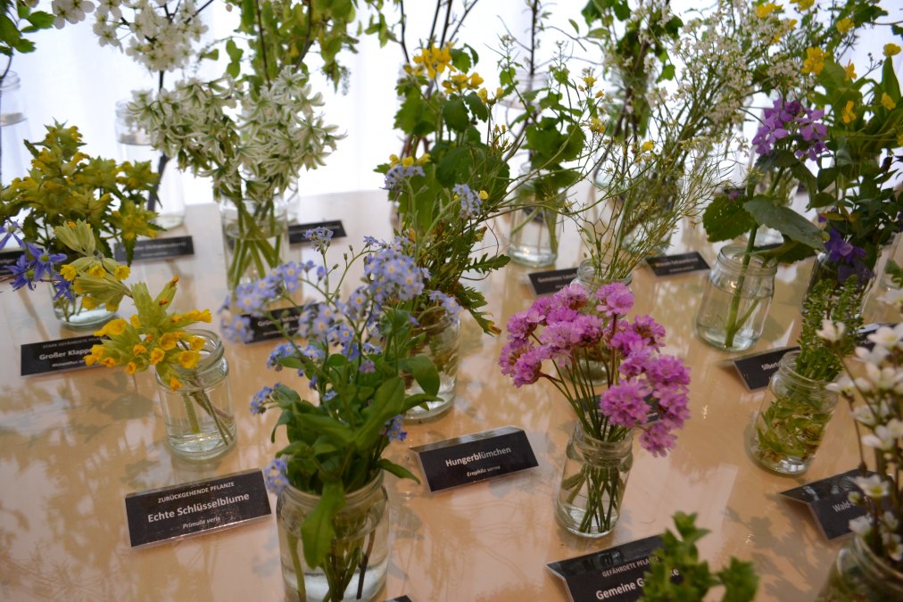Flower table in local history museum, © Hafen- und Kurbetrieb Flower table in local history museum, © Hafen- und Kurbetrieb