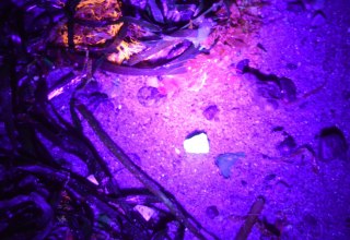 &copy; GeoPark Nordisches Steinreich