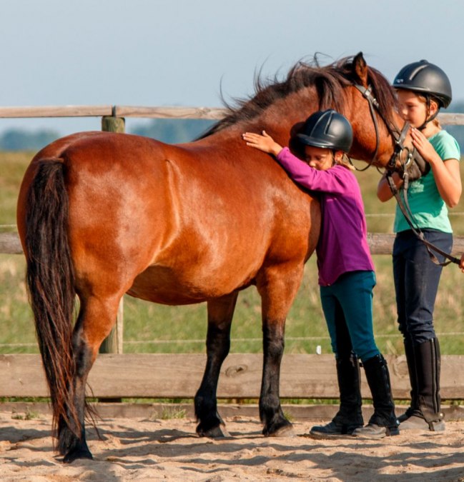 RFH_2_300dpi_980, © Rügen-Ferienhof