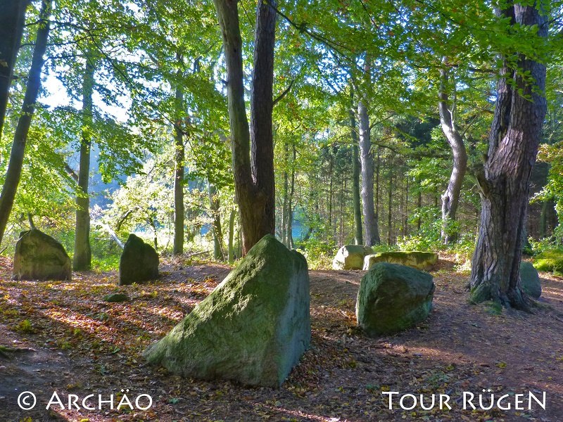 On the coastal path between Lancken-Granitz and Stresow, the "goat stones" lie in the shade of tall deciduous trees., &copy; Arch&auml;o Tour R&uuml;gen