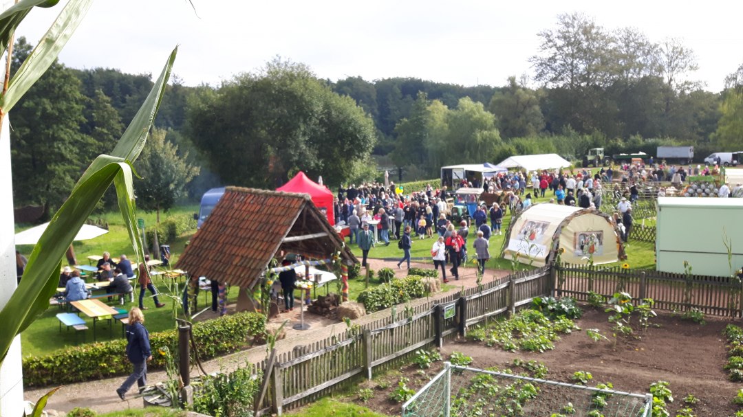 Aktywność rynkowa na boisku sportowym nad jeziorem zamkowym, &copy; Stadt Gadebusch