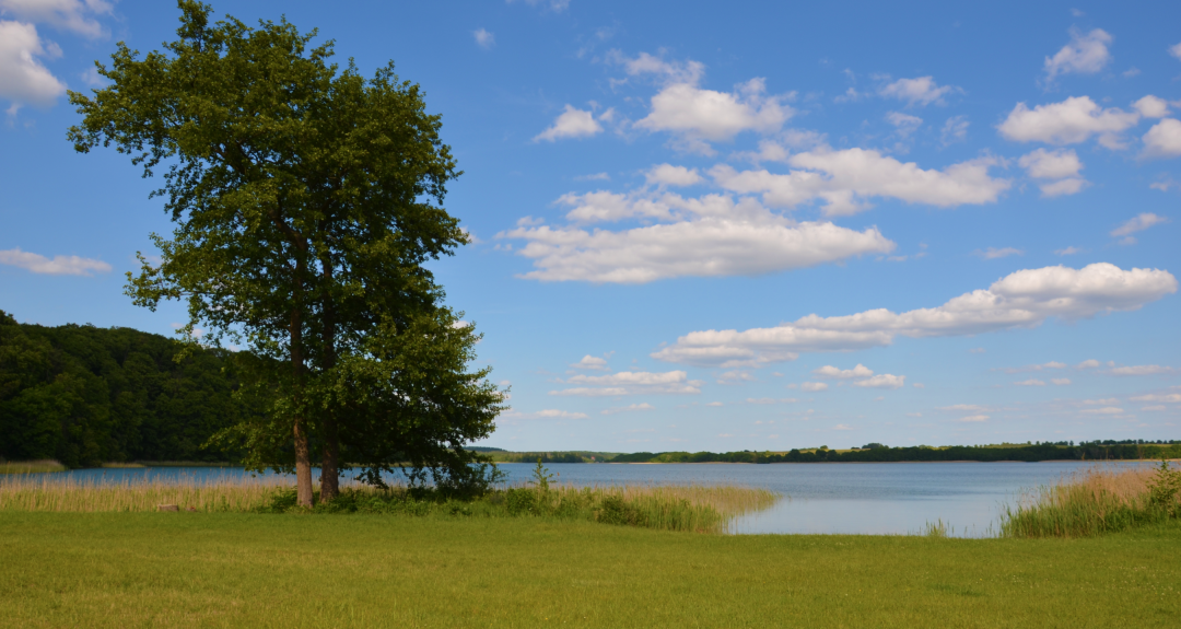 Szerokie kąpielisko Luzin Huettenberg 1, © Martin Möller