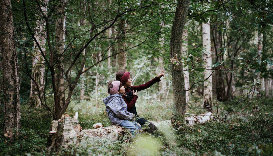 Beleef de natuur van dichtbij - kinderen ontdekken samen de geheimen van het bos in Mecklenburg-Vorpommern. Ideaal voor een gezinsuitstapje in de natuur!, © 1000seen.de Twee kinderen en een vrouw zitten op een boomstam in een bos in Mecklenburg-Vorpommern en observeren aandachtig de natuur.