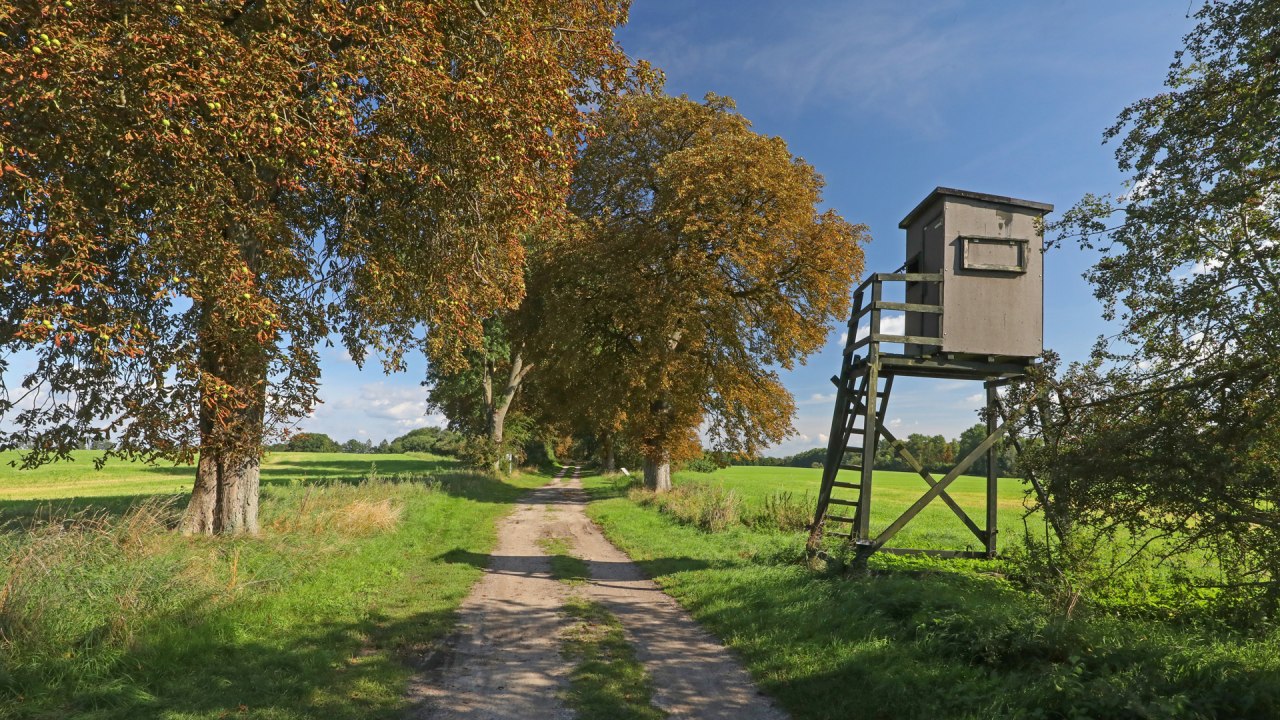 Bijen natuurpad in Land Fleesensee_4, &copy; TMV/Gohlke