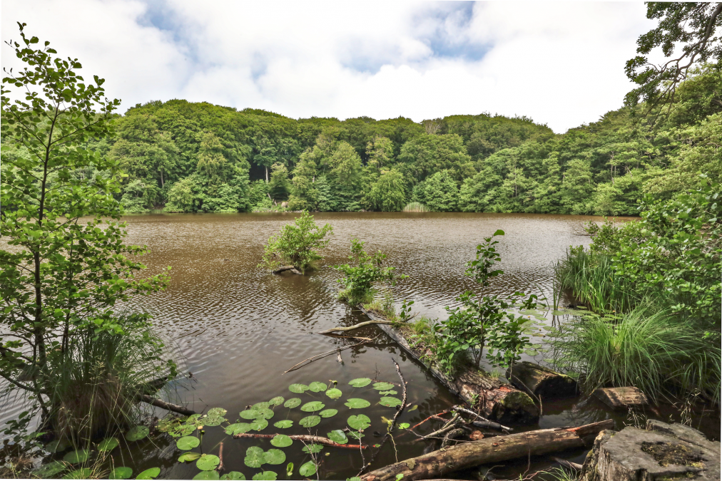 herthasee_5, &copy; TMV/Gohlke