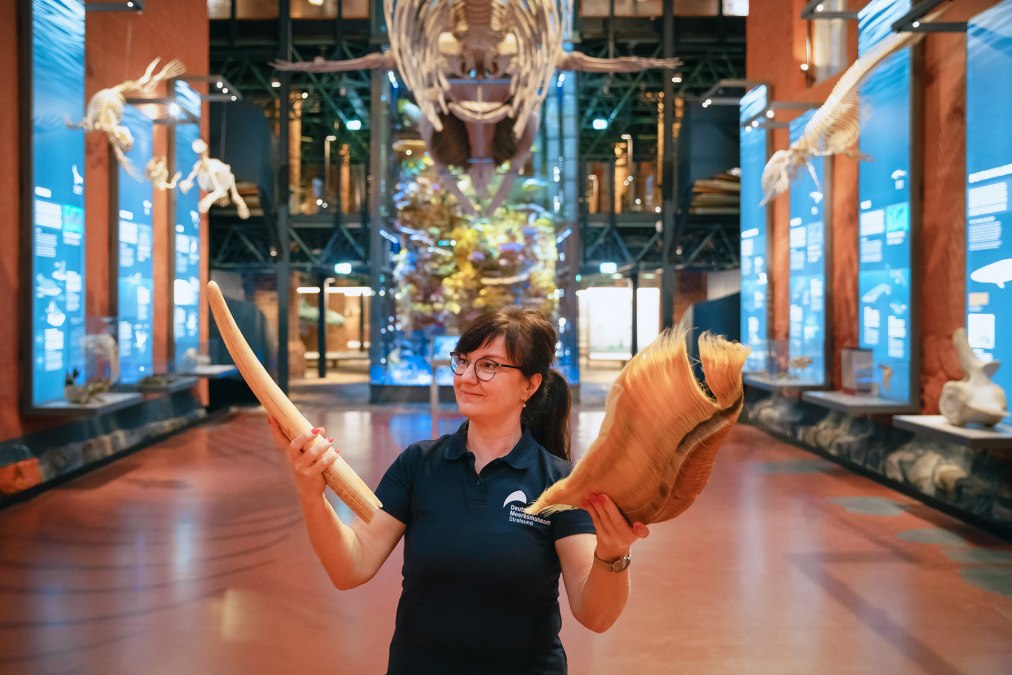 &copy; Anke Neumeister/Deutsches Meeresmuseum