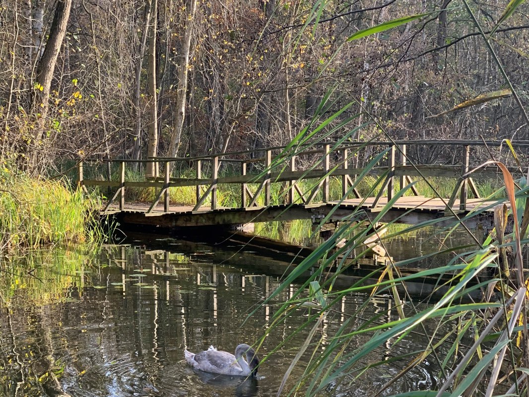 Most Schaale // &copy; E. Dornblut