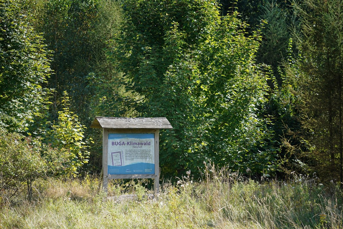 Klimatyczna tablica informacyjna Neuhof, &copy; Landesforst MV