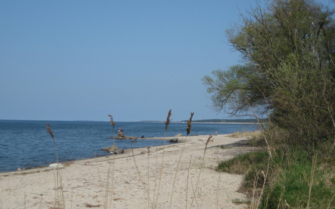 Lubmin kite- en surfspot aan de Greifswald Bodden, © Tourismusverband Vorpommern e.V.