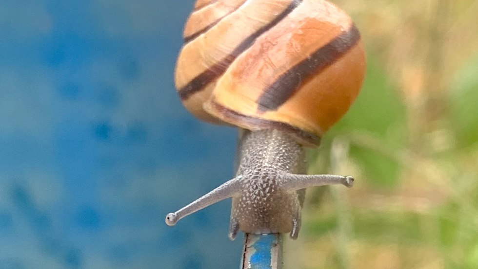 Foto&copy;Janine Turan, &copy; Janine Turan