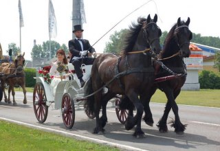 &copy; Pferdehof Glasow