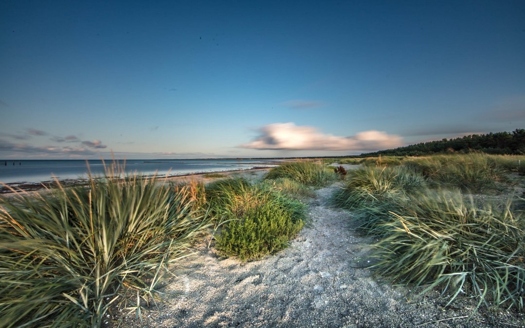 Duinen, © K. Haase