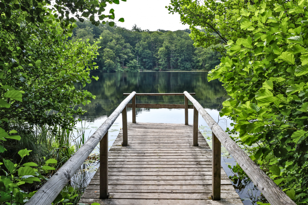 black-lake-in-the-granitz_1, &copy; TMV/Gohlke