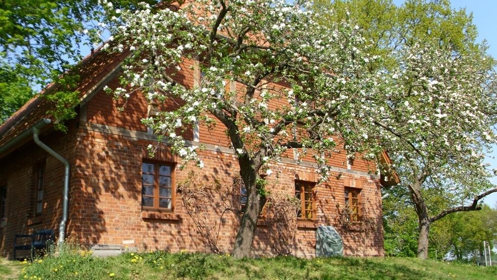 Farma zaprasza do odwiedzin nie tylko w okresie kwitnienia jabłoni, © Archiv, Biosphärenreservatsamt Schaalsee-Elbe