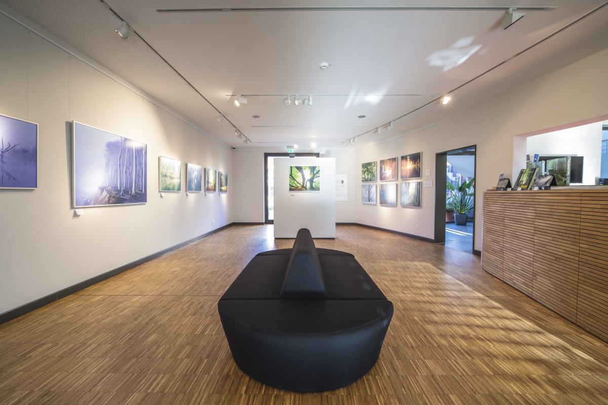 Gallery in the Max Hünten House, © Timm Allrich Gallery in the Max Hünten House, © Timm Allrich